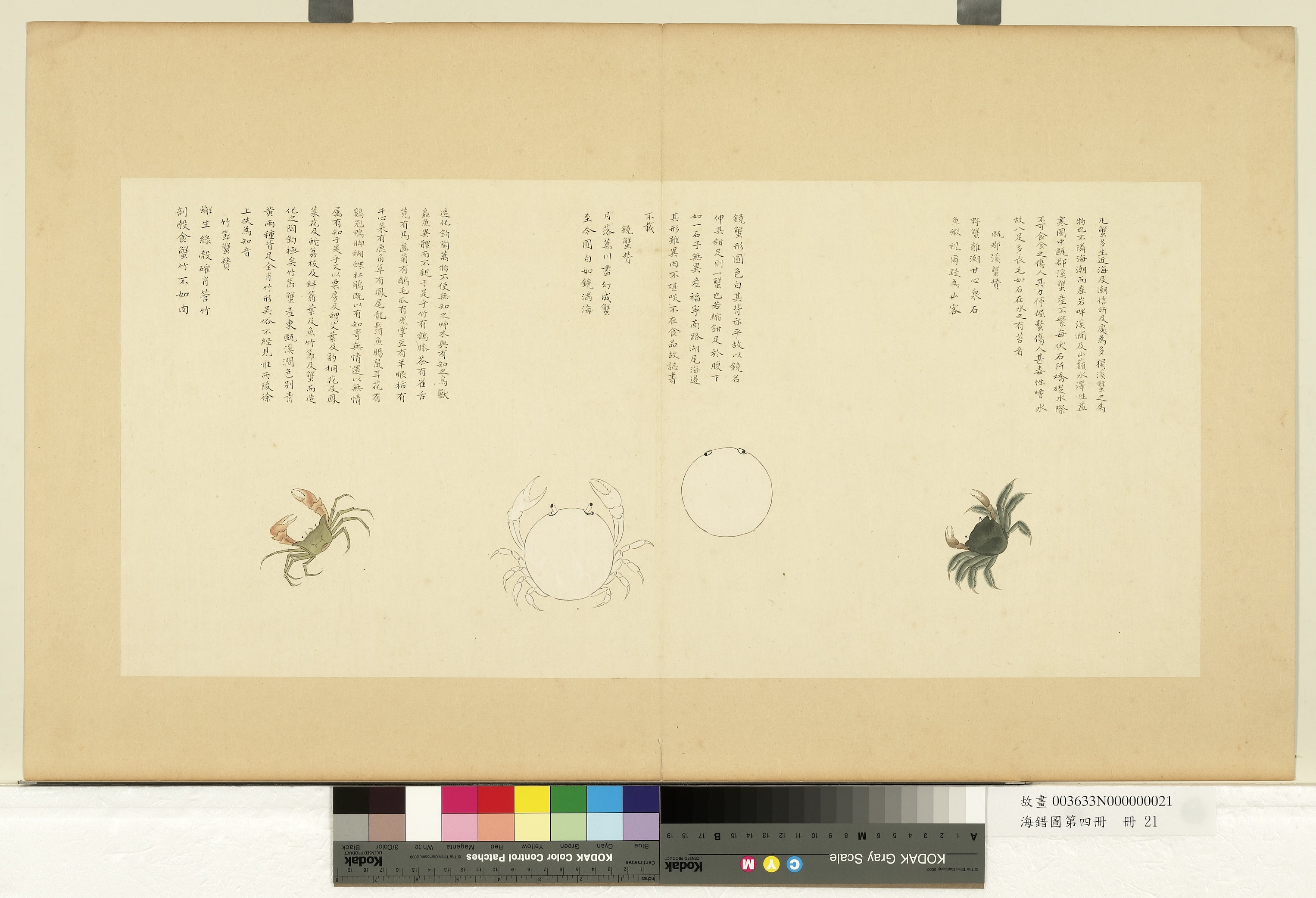 A historical marine-life study from the Haicuo Atlas